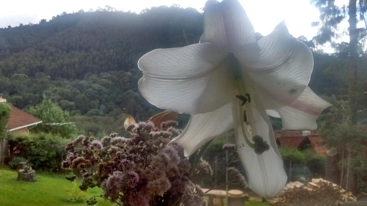 Bed and Breakfast Morada Rancho Da Lua Monte Verde  Exterior foto